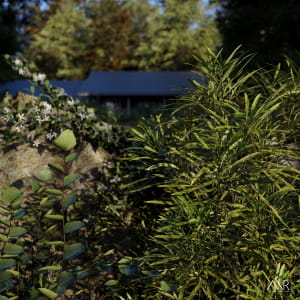 Forest House (Practice render)