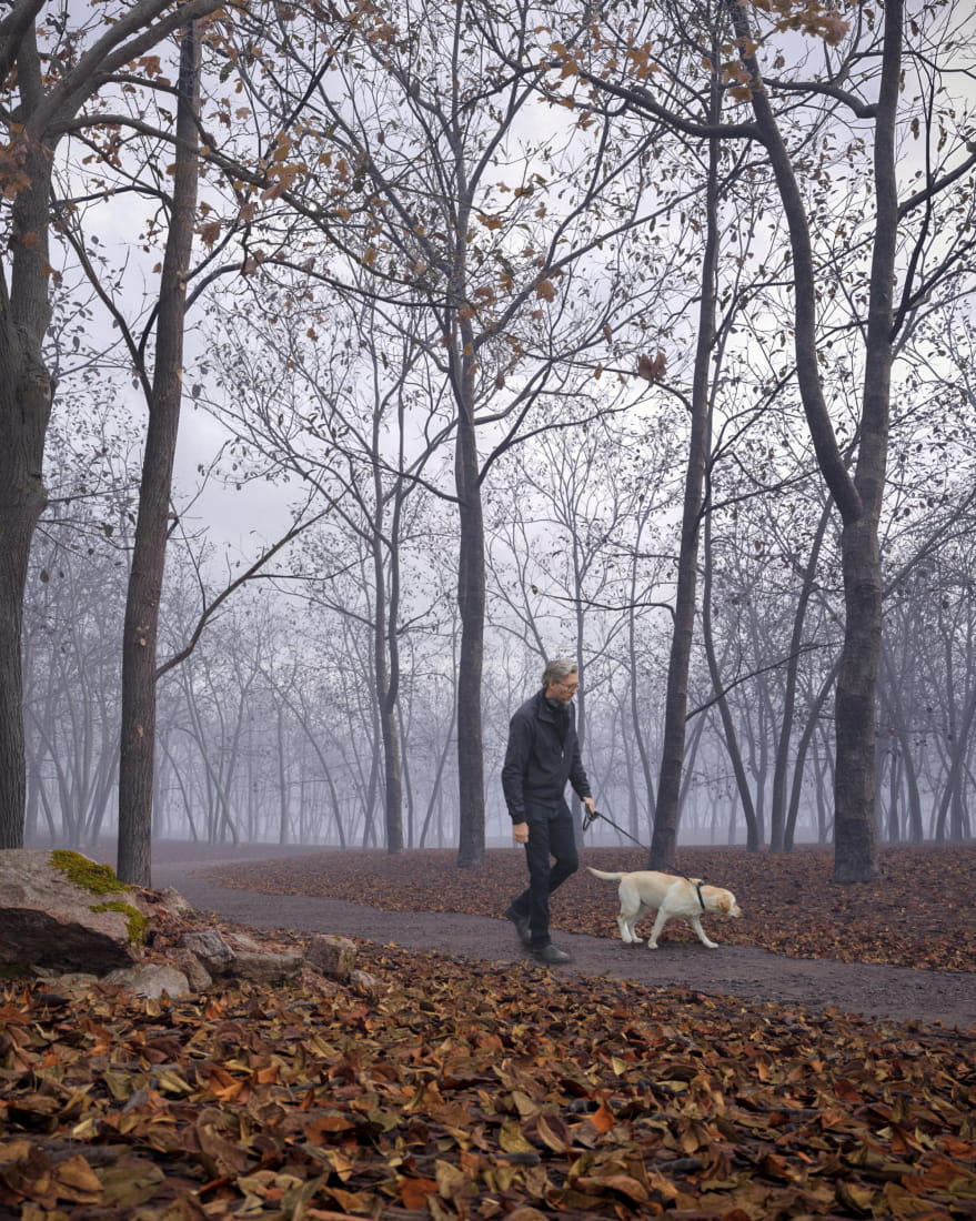 autumn-foggy-forest