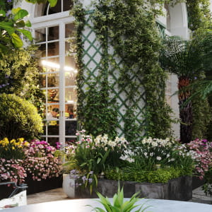 Annabel's Commercial Garden ,London