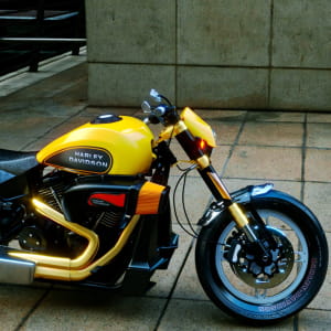 Harley Davidson FXDR 114 +Cinematic FX