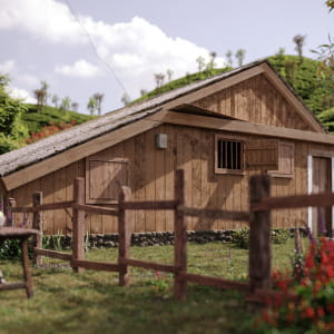 A house in tea plantation