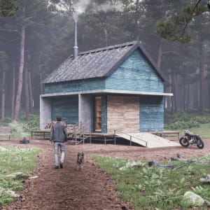 The Forest Cabin House