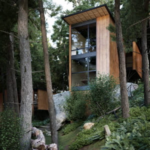 Cgi - the forest wooden house