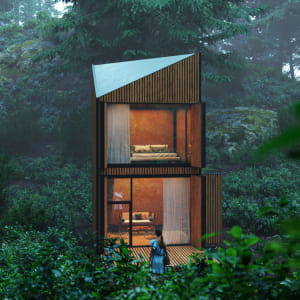 The Cabin IN Forest