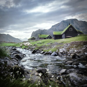 Green roofs from the Faroe Islands