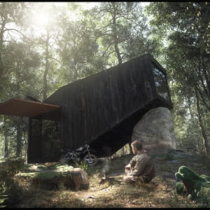 House Forest Retreat - Uhlik Architekti