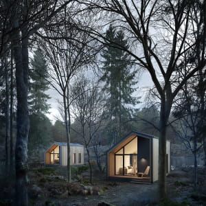 Forest Cabin