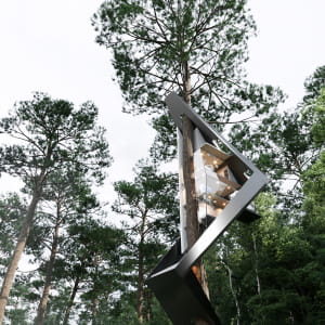Triangle Tree House in the forest