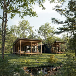 Forest house 