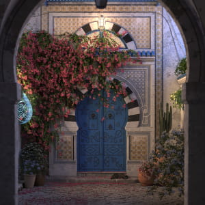 Tunisian Traditional Architecture