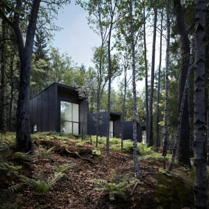 Forest Cabin 02
