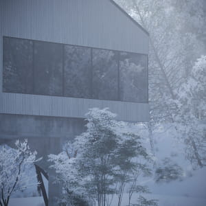SNOW SHELTER