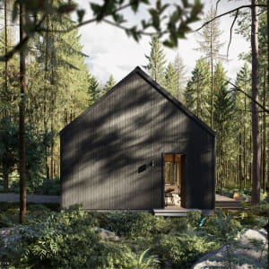 Cabin in the Forest | 3d rendering exterior