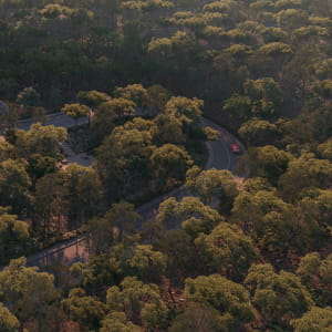 Private home surrounded by large trees.  