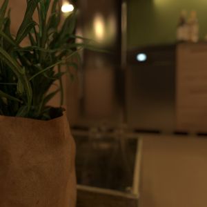 SMALL 2 BEDROOM HOME IN DOWNTOWN TEHRAN