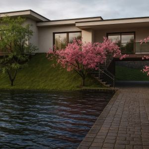 casa no lago