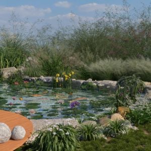 A Pond for Silence