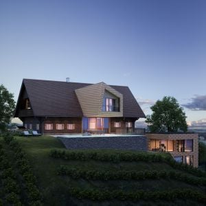 Exterior & Interior Visualization: Classic Austrian Charm