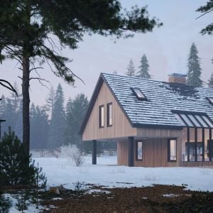 Where Pines Pause
