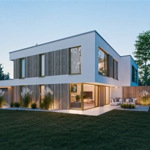 Modern house