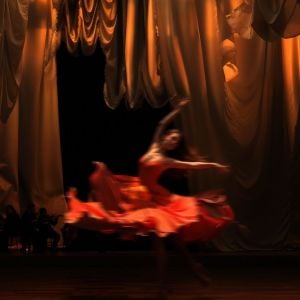 Soul in Motion