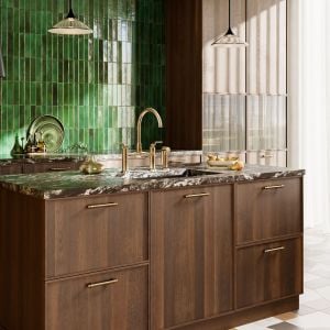 Brizo Kitchen Story