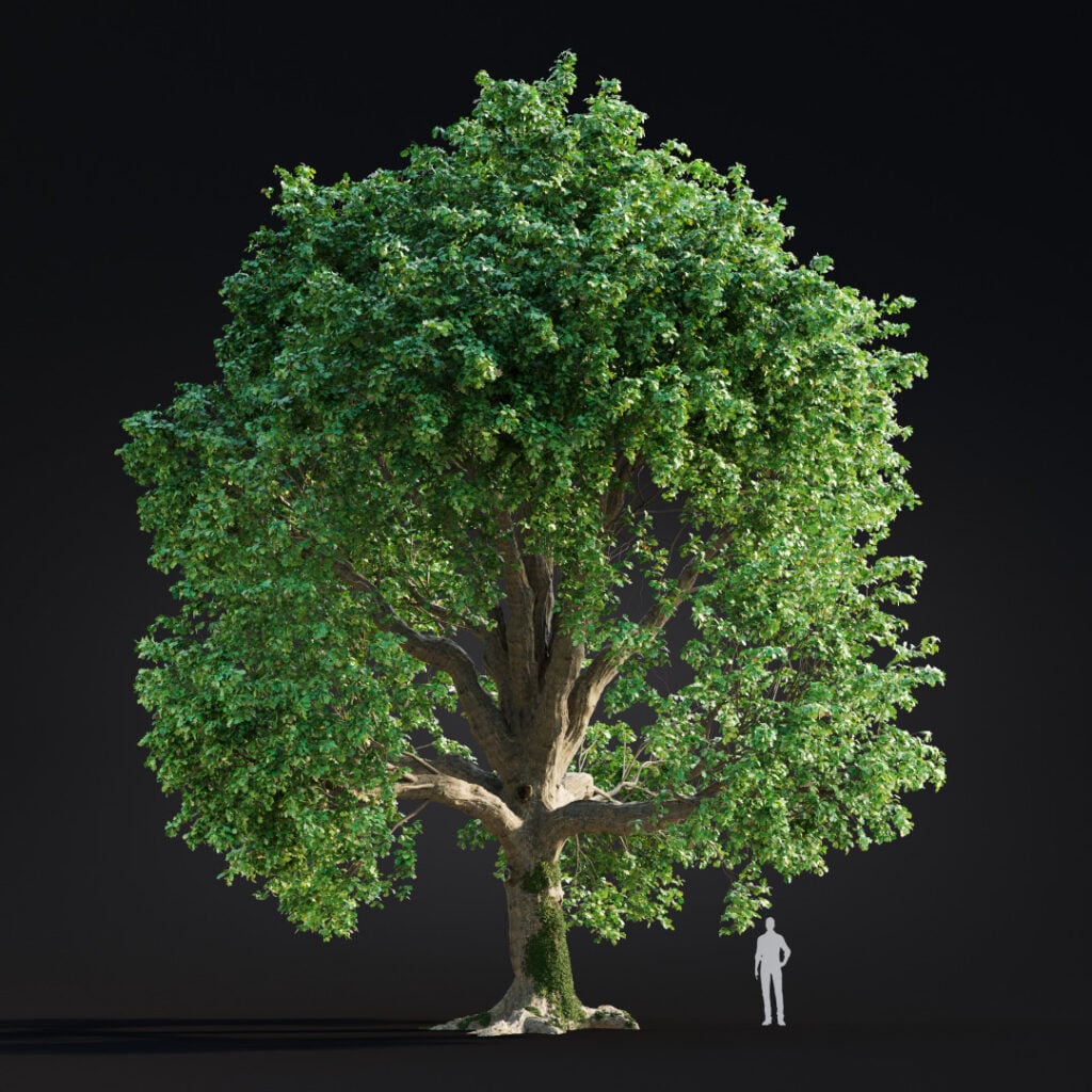 AM299 003 Building Nature in 3D: How Scanned Trees Bring Realism