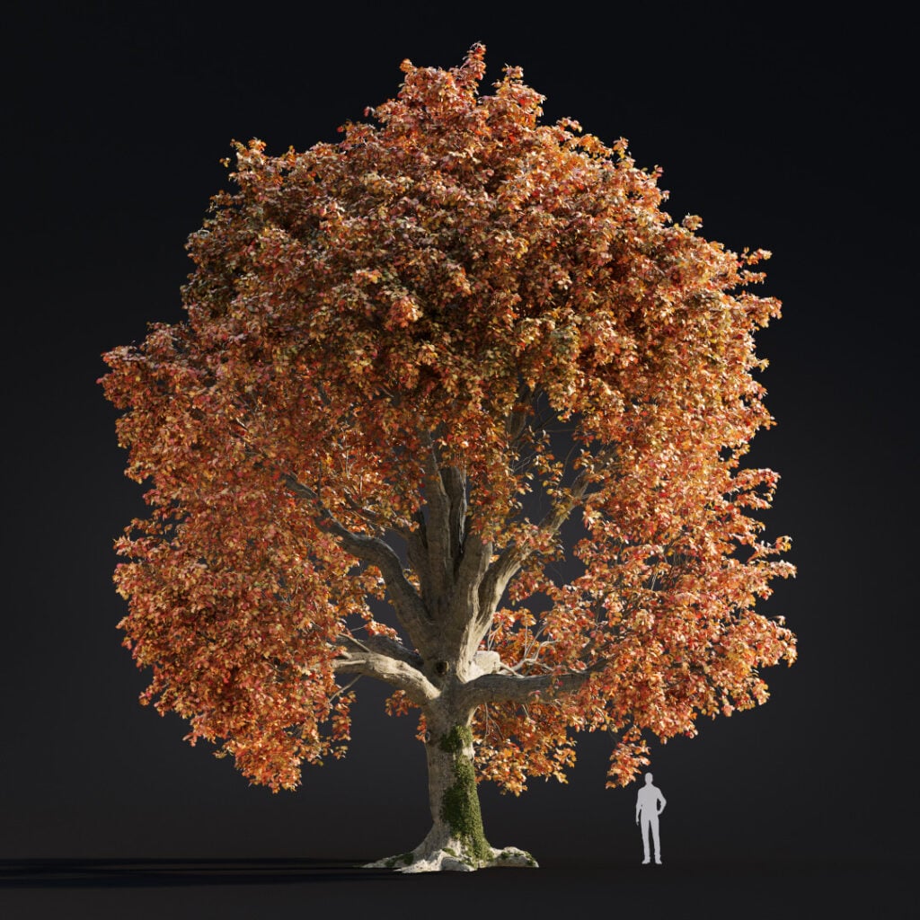 AM299 004 BLENDER Building Nature in 3D: How Scanned Trees Bring Realism