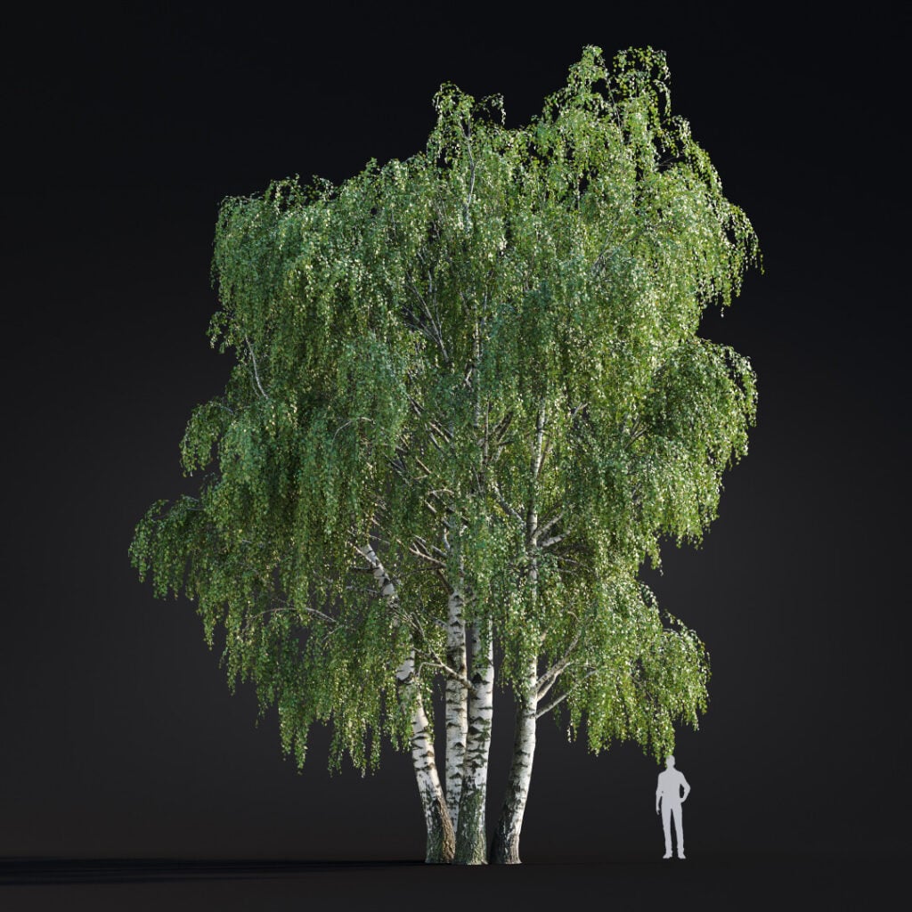 AM299 015 Building Nature in 3D: How Scanned Trees Bring Realism