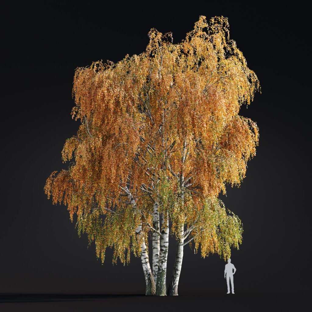 AM299 016 Building Nature in 3D: How Scanned Trees Bring Realism