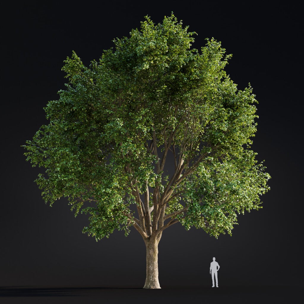 AM299 043 Building Nature in 3D: How Scanned Trees Bring Realism