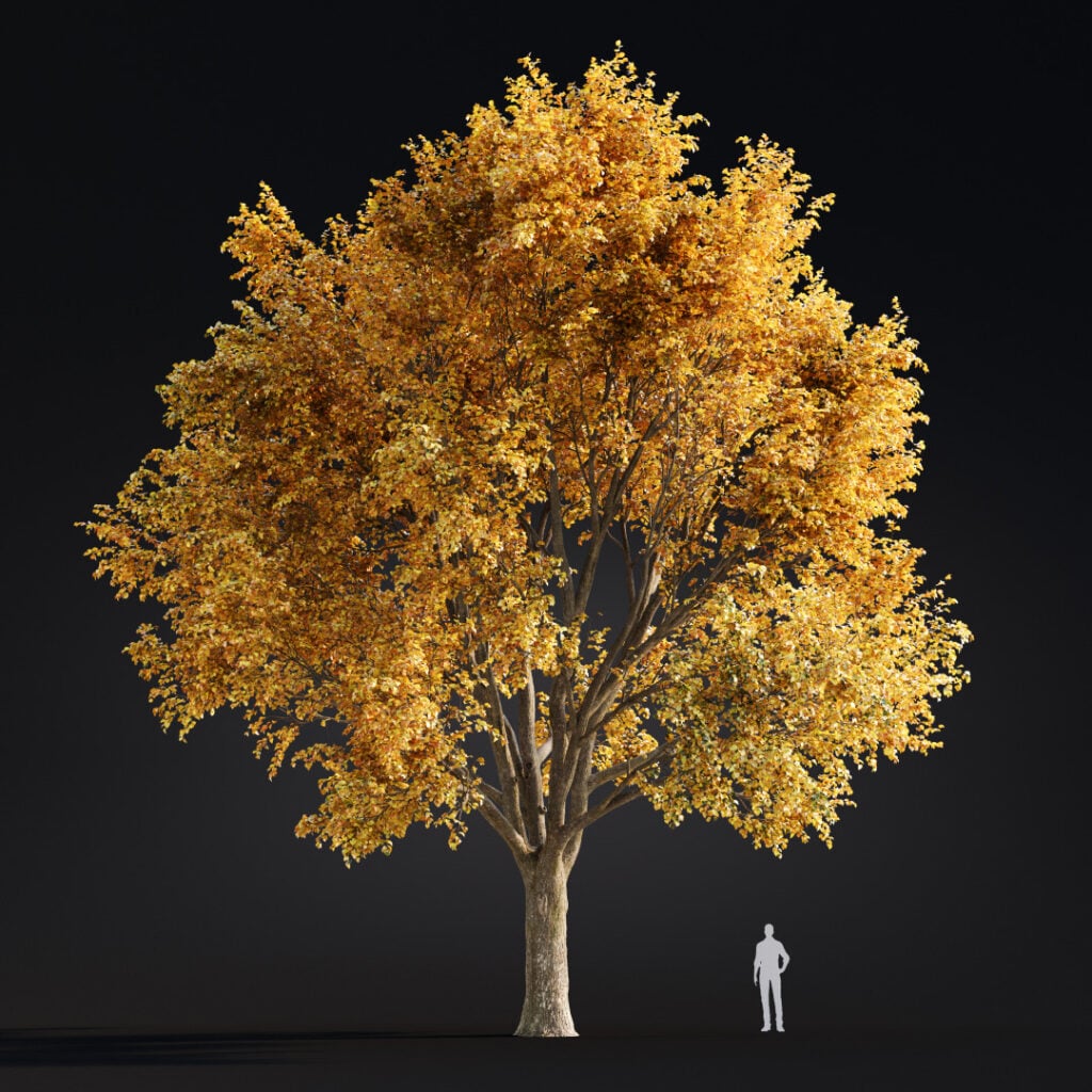 AM299 044 Building Nature in 3D: How Scanned Trees Bring Realism