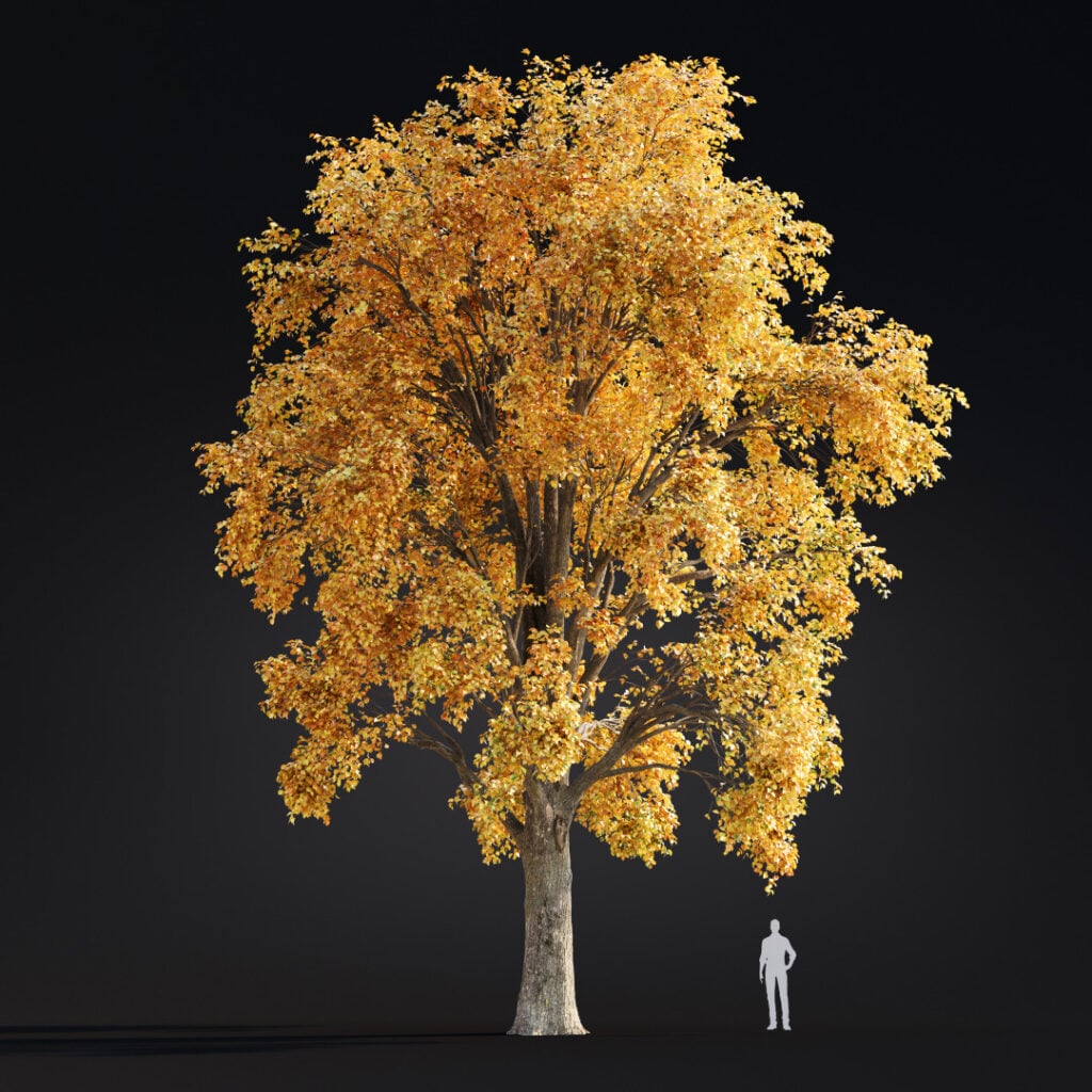 AM299 056 Building Nature in 3D: How Scanned Trees Bring Realism