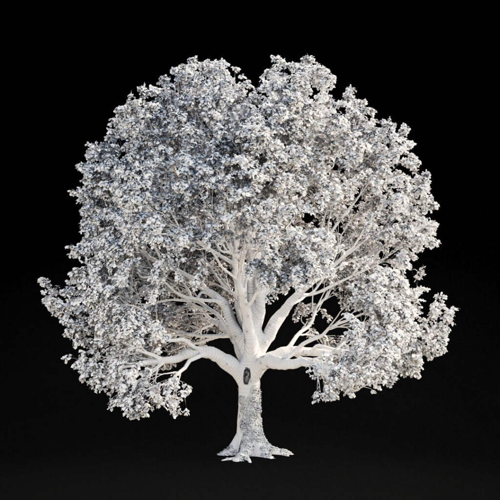 AM299 Wire High Poly LOD Building Nature in 3D: How Scanned Trees Bring Realism